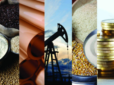 Top 5 Commodities of 2021