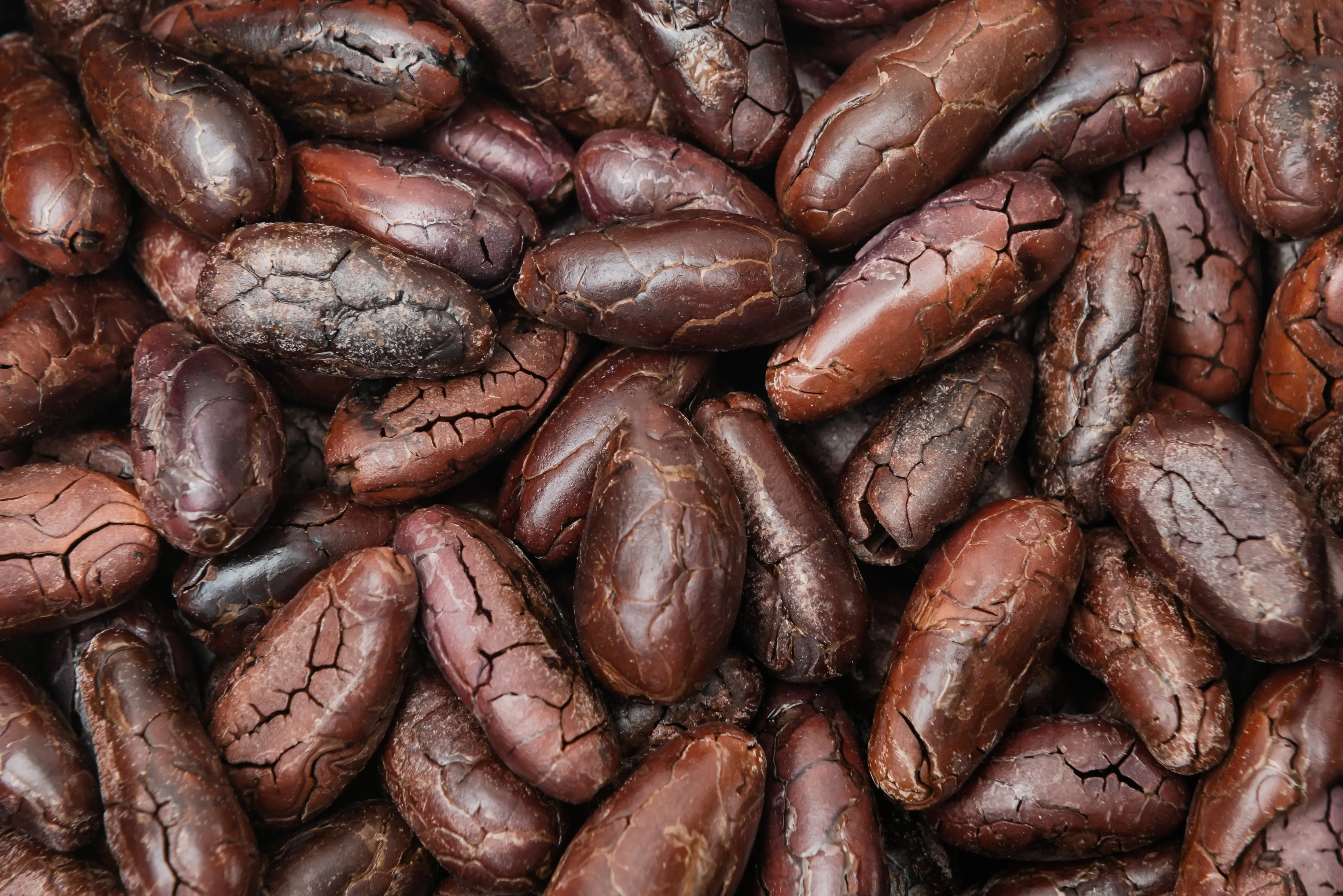 Tradematics | The Rise and Fall of Cocoa Prices