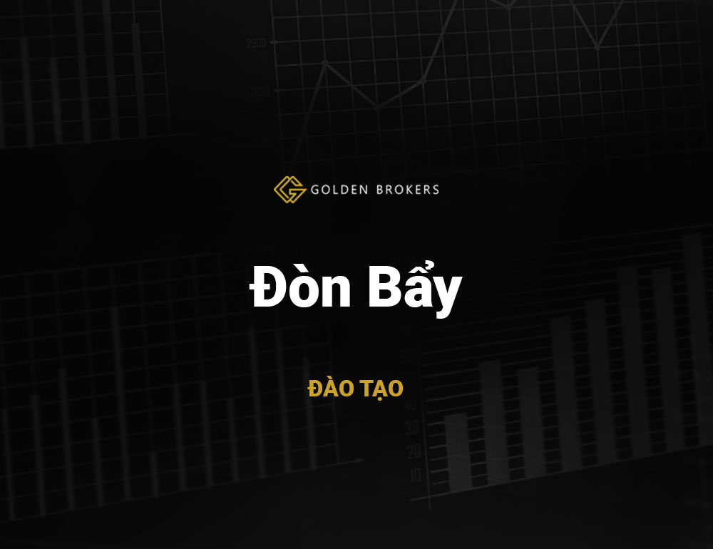 Đòn Bẩy
